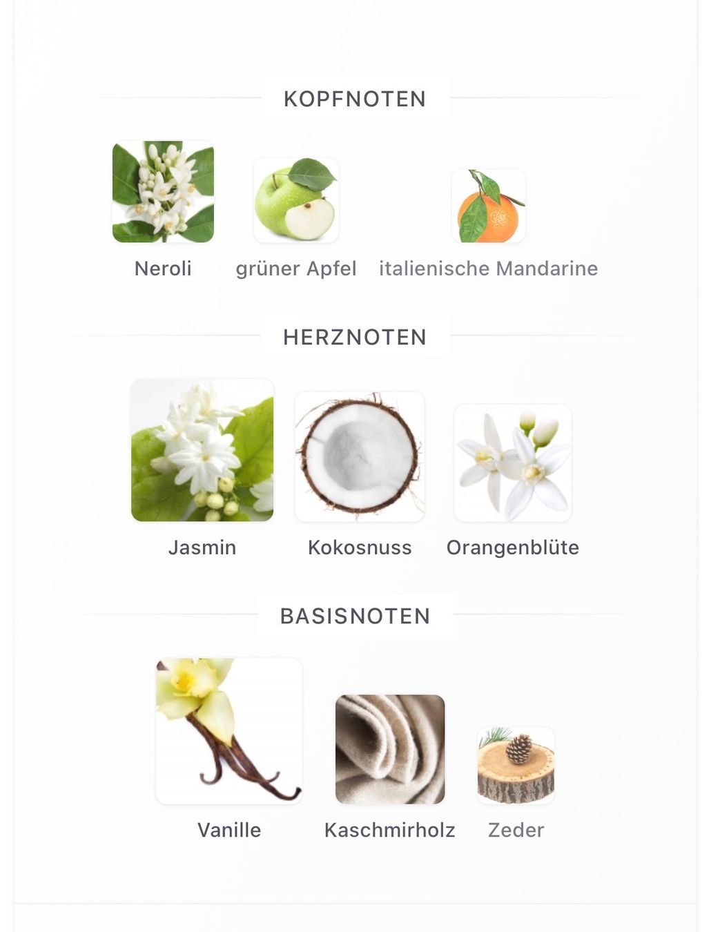Dolce & Gabbana Profumi & Eau de Toilette: Parfüm gebraucht – Usato da Zürich venduto da bab_rr77 3