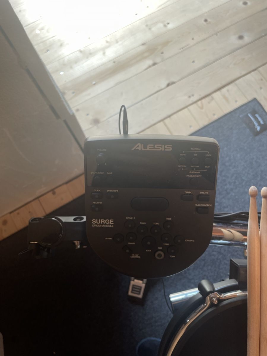 Alesis Strumenti musicali: Alesis Surge E-Drum Set mit Modul und Stöcken – Usato da Root venduto da luc_6ygq 1