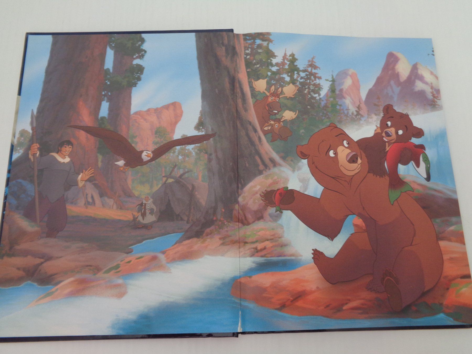 Libri: Disney - Bären Brüder – Usato da Chur venduto da Oregano1 3