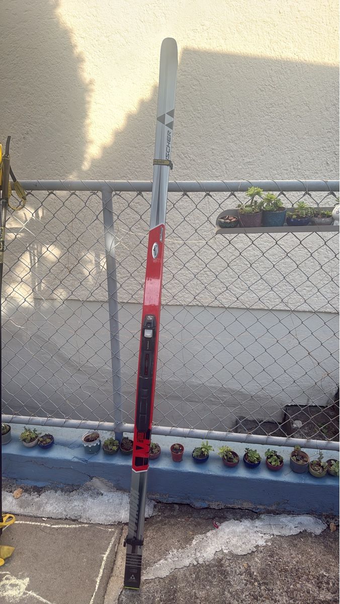 Fischer Sci: Fischer Ski 174cm mit Bindung Alpine – Usato da Zürich venduto da Krikri21