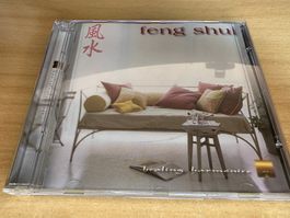 E5 John Savannah - Feng Shui