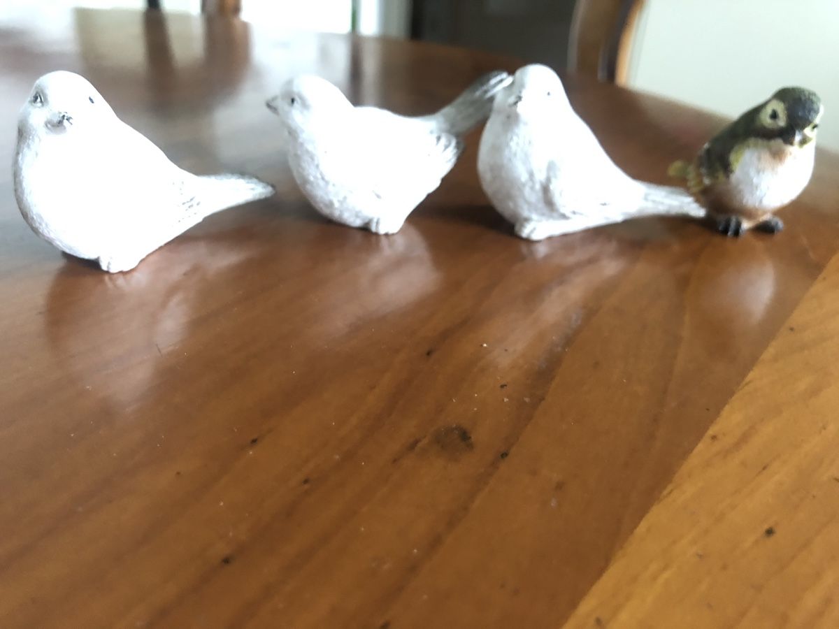 Tutte le decorazioni: Vögeli für Dekoration – Usato da Niederlenz venduto da lil_jxk8 4
