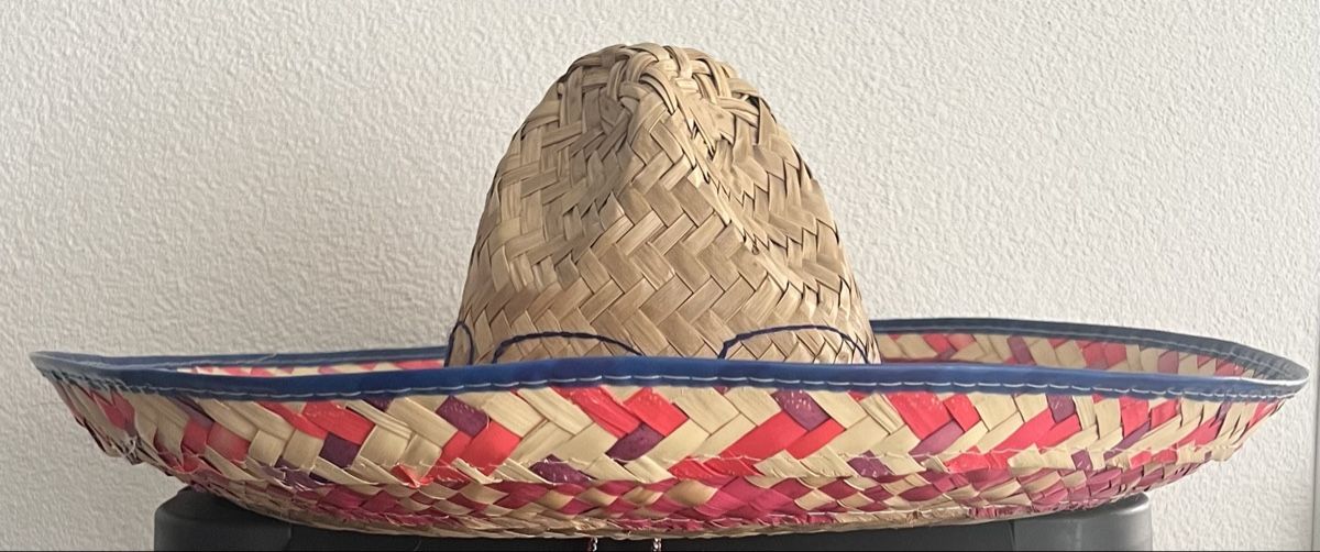 Chapeaux, bonnets & casquettes: Chapeau sombrero – D'occasion à Fribourg par Obiwan22 1