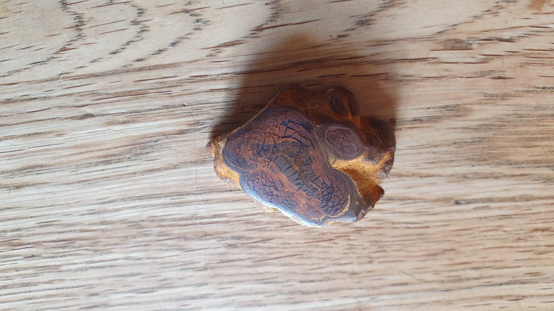 Pietre preziose: Boulder Opal – Usato da Flawil venduto da Naphtali 9
