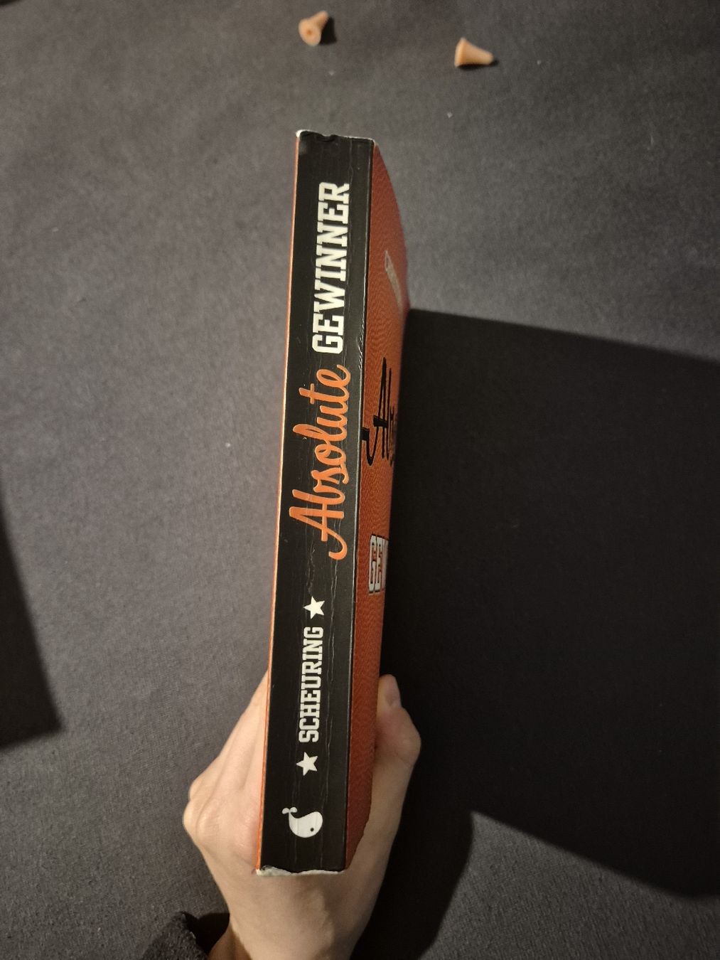 Bücher: Christoph Scheuring: Absolute Gewinner – Gebraucht aus Nürensdorf von luc_9ksf 1