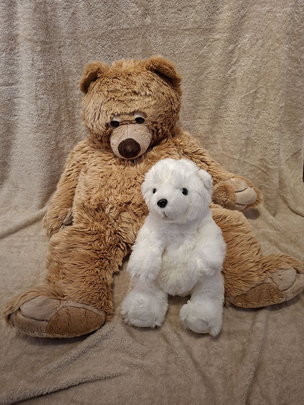 Spielzeuge: Plüschtiere; Teddybär & Eisbär – Gebraucht aus Thörigen von leo_55vw