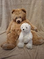 Plüschtiere; Teddybär & Eisbär