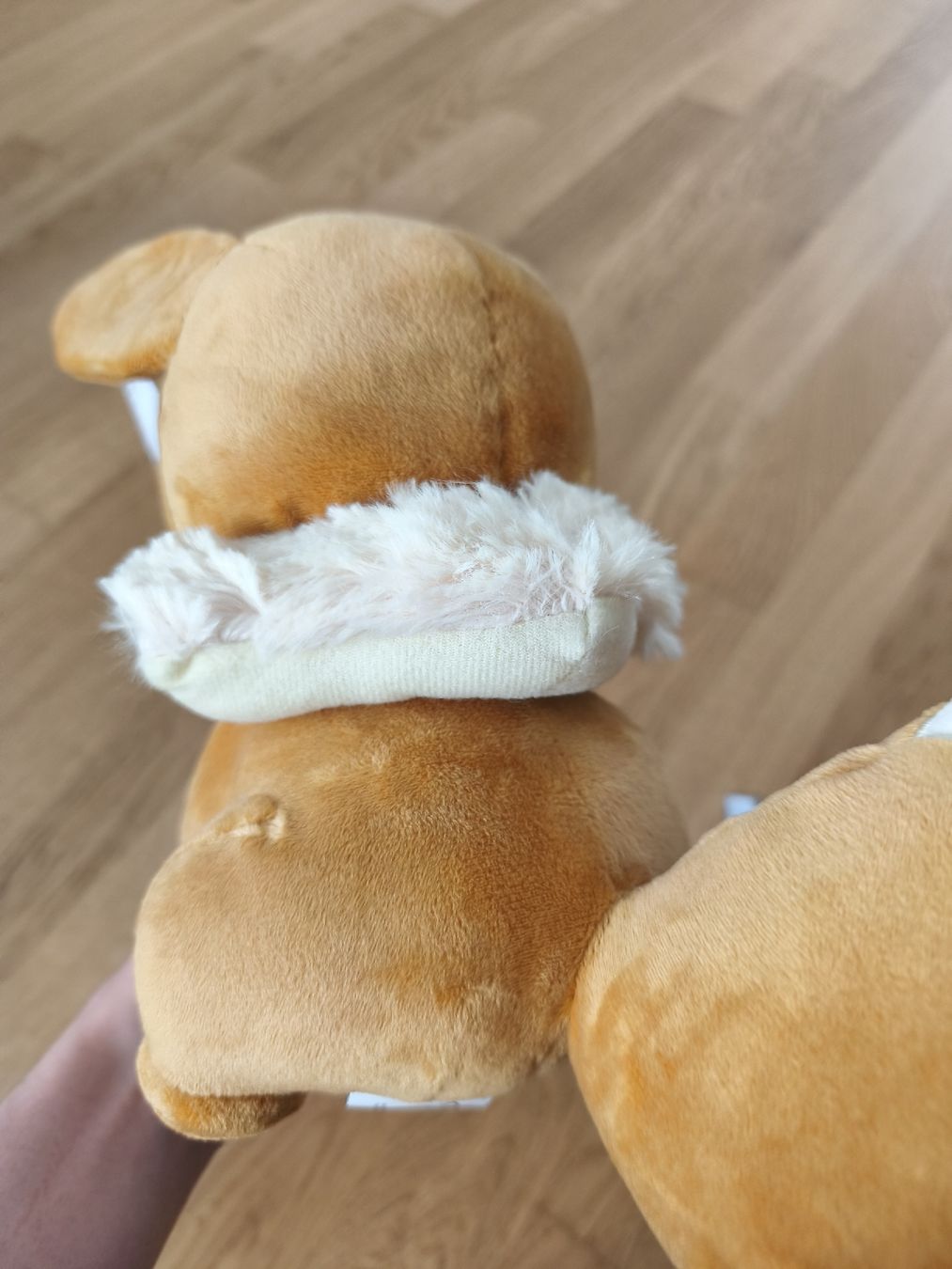 Pokémon Giocattoli: Herziges Evoli Plüschtier Pokémon neu – Nuovo (secondo la descrizione) da Näfels venduto da ChocolateMuffin 5