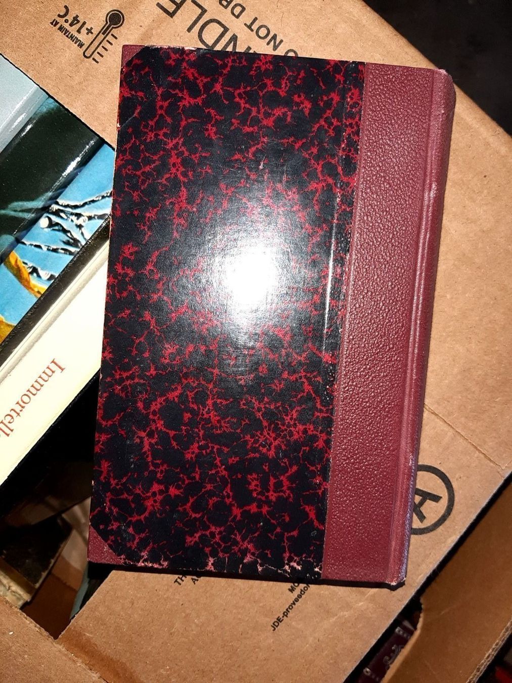 Libri: 2 romans de benjamin.valotton – Usato da Le locle venduto da juliensaran 2