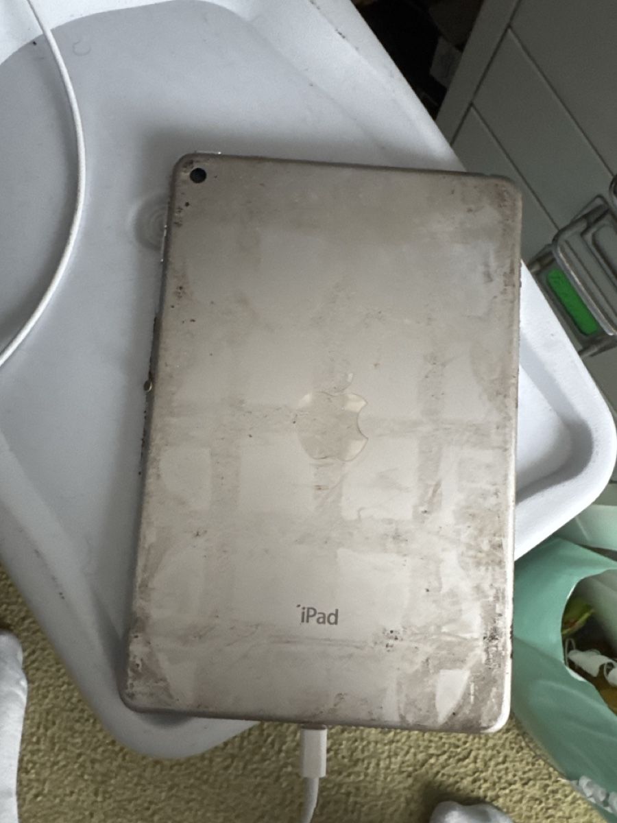 Apple Tablet PC: Ipad mini 4 - A1538 - icloude – Difettoso da Olten venduto da HoYa01
