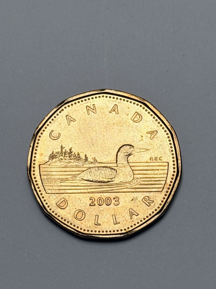 Tutti le monete: Monnaie Canada 1 Dollar 2003 Loonie pièce dorée – Nuovo (secondo la descrizione) da La Tour-de-Trème venduto da Ahamaya 1