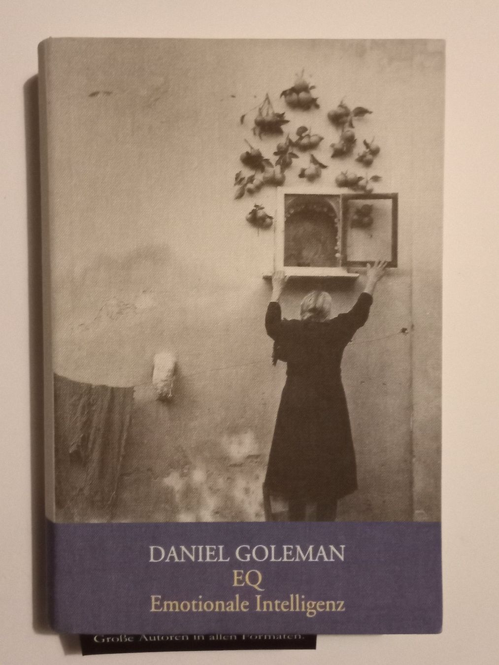 Livres: Buch  - Daniel Goleman / EQ - EMOTIONALE INTELLIGENZ - neu – Neuf (Voir description) à Urtenen-Schönbühl par chr_hf86