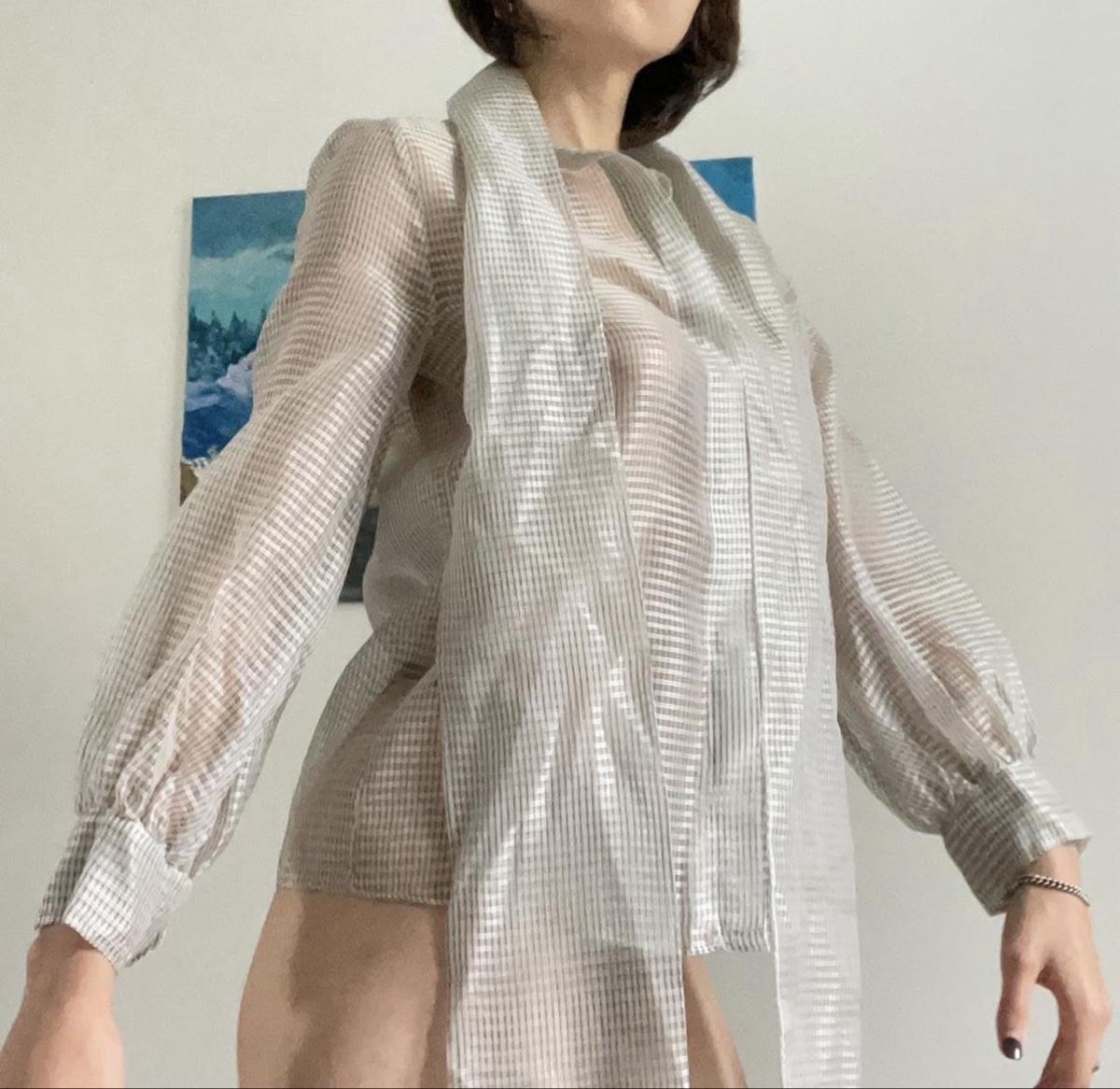 Zara Blusen: Sheer Blouse from Zara – Neu (gemäss Beschreibung) aus Adliswil von DariaU0709 2