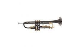Roy Benson Trumpet, Black and Gold Details (Trompete)