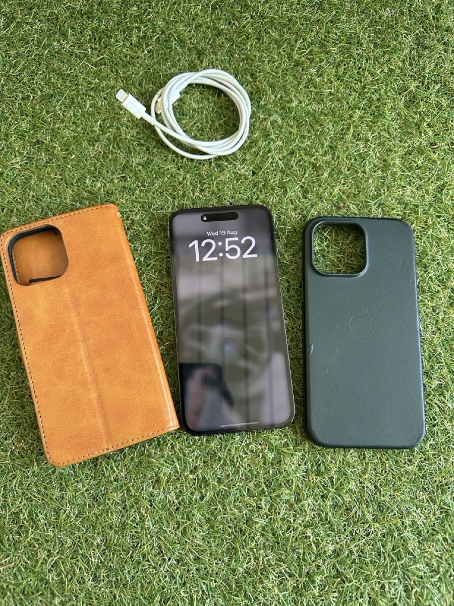 Apple Telefoni cellulari / Smartphones: iPhone 14 Pro Max Case and Charger Used – Usato da Buchs SG venduto da BobRob