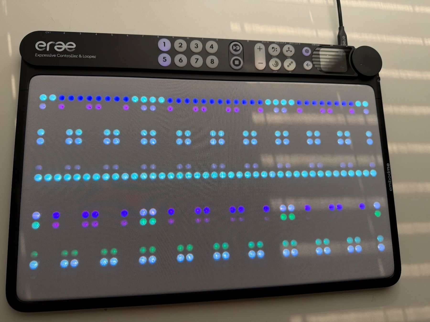 Strumenti musicali: Erse Embodme Expressive Controller & Looper neuwertig – Usato da birsfelden venduto da Ozpower