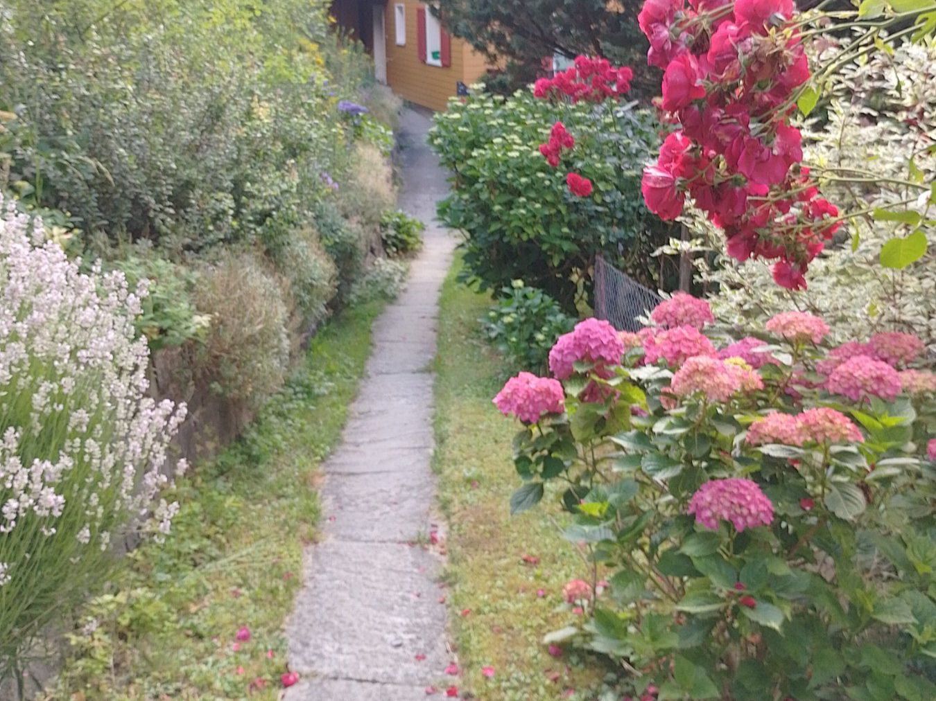 Aliments & Spécialités: Lavendel Urner Oberland – Neuf avec emballage d'origine à Gurtnellen par AlexandraB51 1