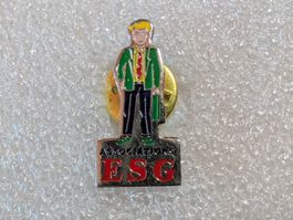 Ansteckpin 260: ESG