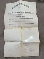 Antike Bürgerrechts-Urkunde Hottingen 1884 Isler Albert von