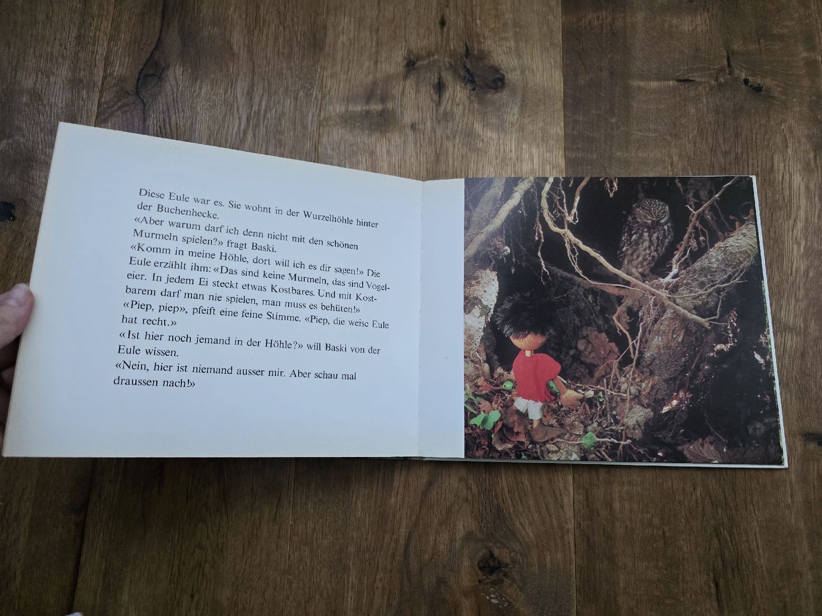 Libri: buch baski – Usato da Wittenbach venduto da Tigerlili 4