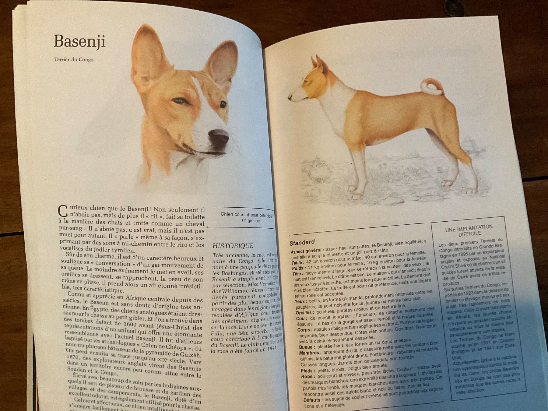 Livres: Guide des Chiens Sélection Reader's Digest – D'occasion à Avenches par Lactobacille 7