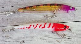 2 stk. verschidene Wobbler Länge 9,5cm Gew. 7,5gr.- 8,5gr.