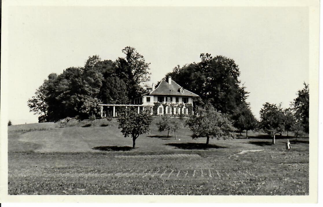 Ansichtskarten: Gruzelen Schlingmoos 1950 – Gebraucht aus Hochdorf von Ziegel-16