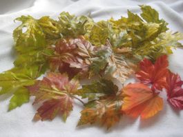 HERBST  BLÄTTERN   DECO