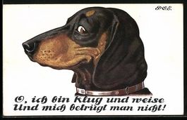 P. O. Engelhard (P.O.E.): O, ich bin klu