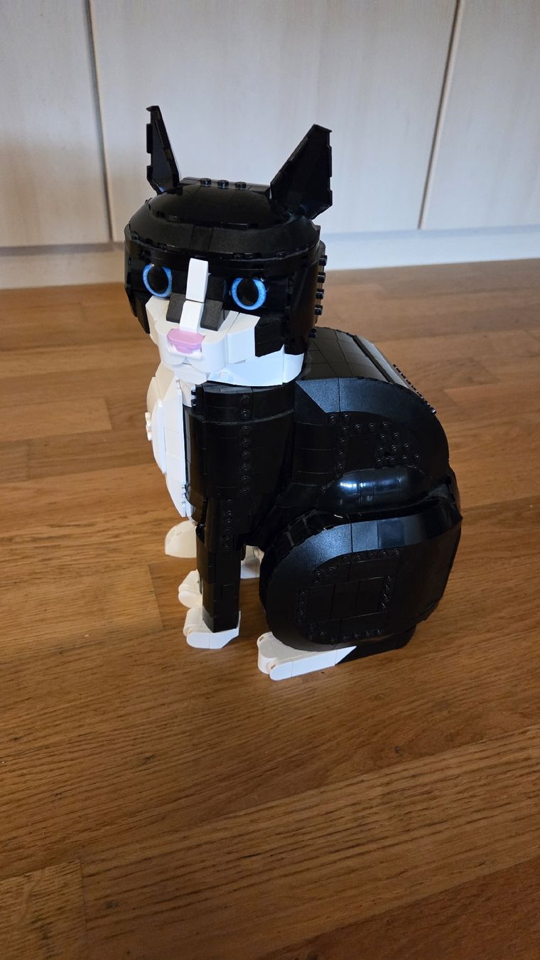 Lego Spielzeuge: Lego Katze – Gebraucht aus Esslingen von Bolormaa 4