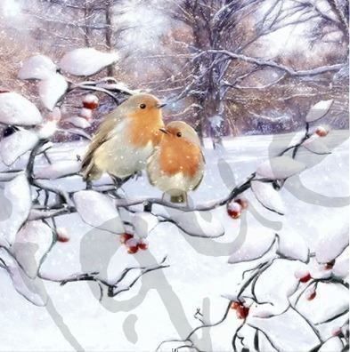 Tovaglioli: Serviette robins on branch (1250) 2Stk. – Nuovo (secondo la descrizione) da Schlatt TG venduto da kreativ-atelier