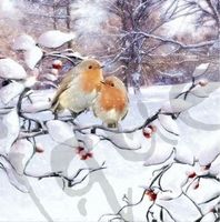 Serviette robins on branch (1250) 2Stk.