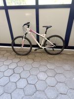 Damen Mountainbike Hardtail