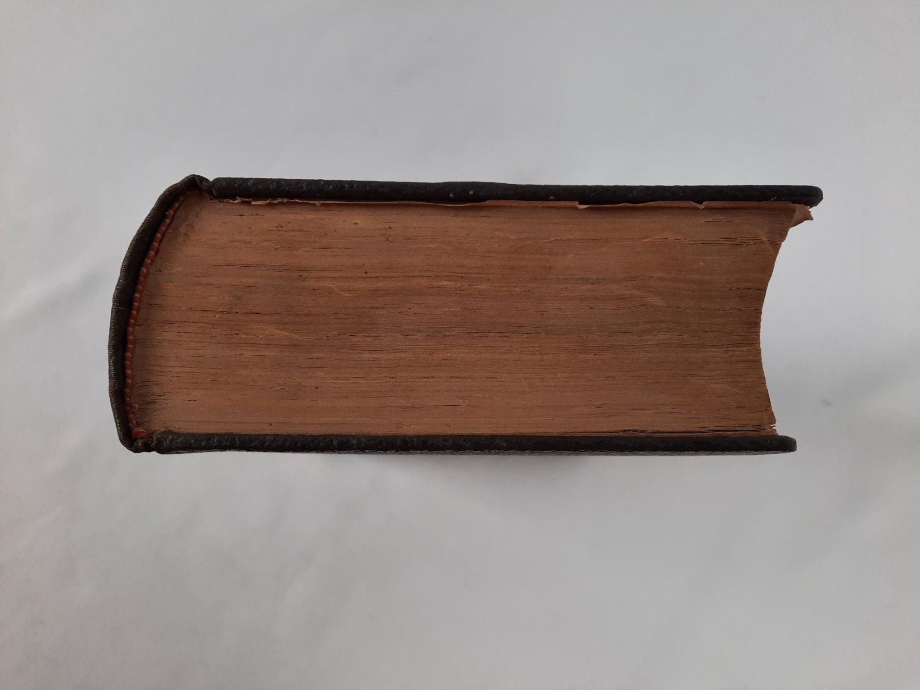 Libri: Die Bibel von 1878 – Usato da Beinwil am See venduto da Restwert_Beinwil 6