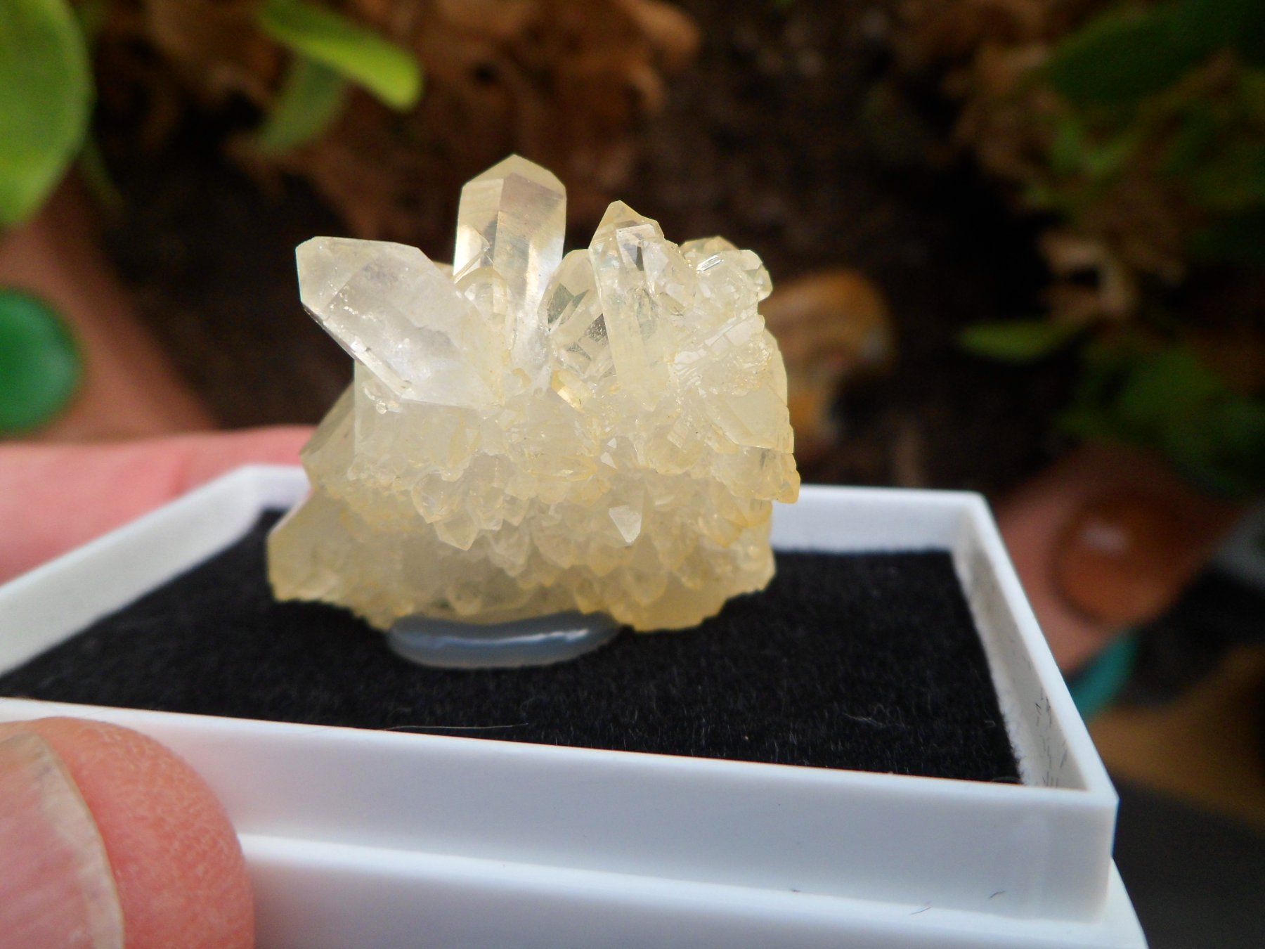Mineralien & Heilsteine: Bergkristall Schinschlucht – Neu (gemäss Beschreibung) aus Affoltern am Albis von Fossil60 3