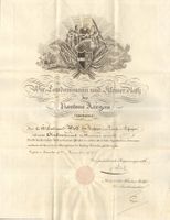 Urkunde Oberlieutnant Pontonier Aargau 1847 Militär Wolff