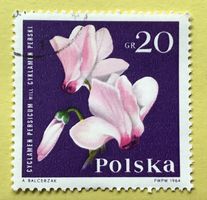 Briefmarken aus  Polen gestempelt  Siehe Original Fotos. 