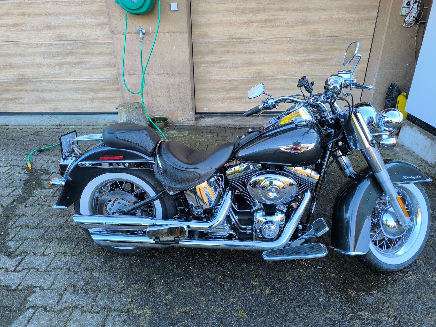 Harley-Davidson Chopper: Harley-Davidson FLSTNI Softail Deluxe – Usato da Böbikon venduto da Mondi2