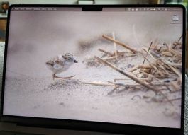 MacBook Pro 14" M3 Pro  Top-Zustand