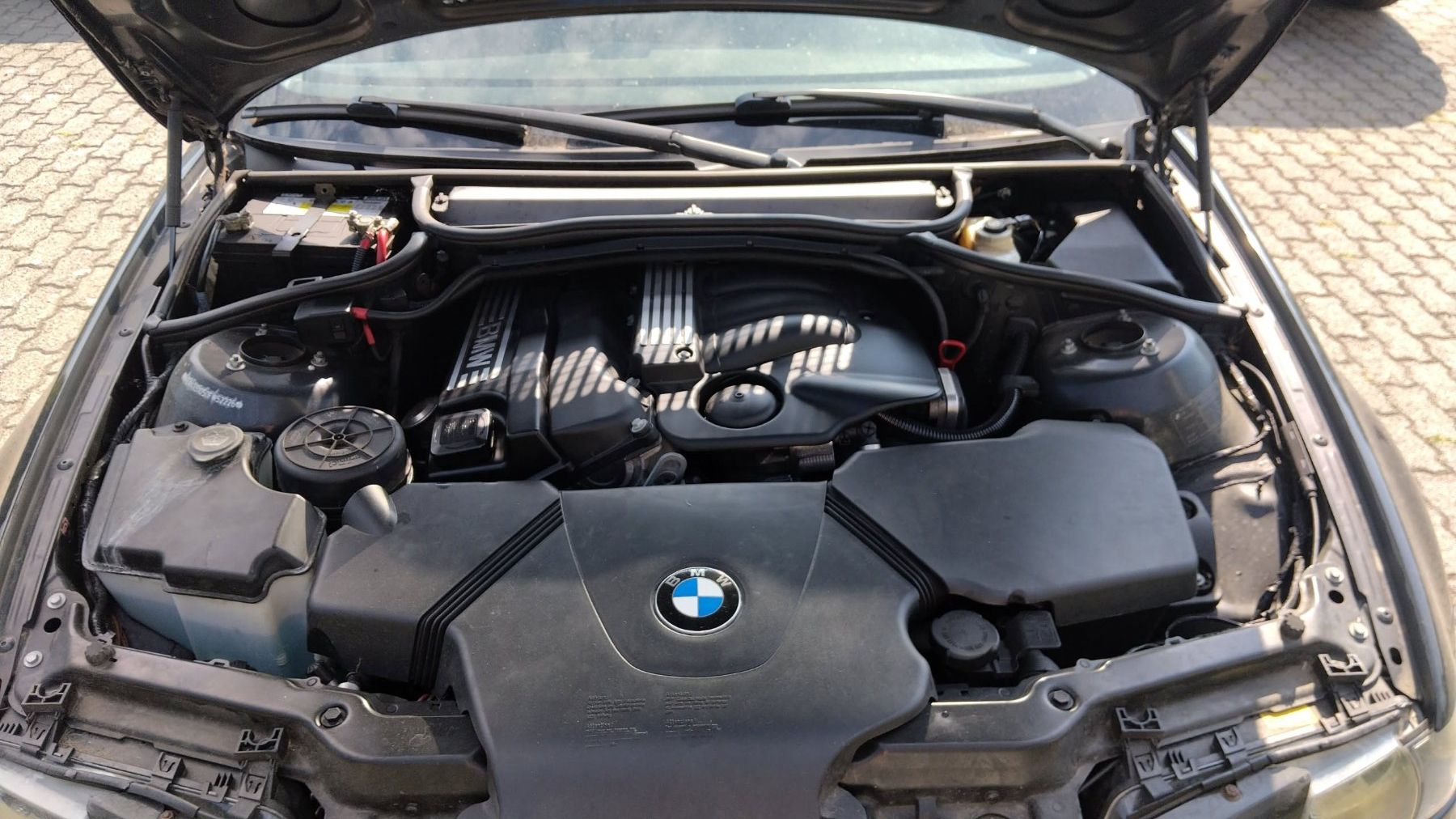 BMW Automobili: BMW 316Ti Compact – Usato da Wilihof venduto da blu_7lg2 7