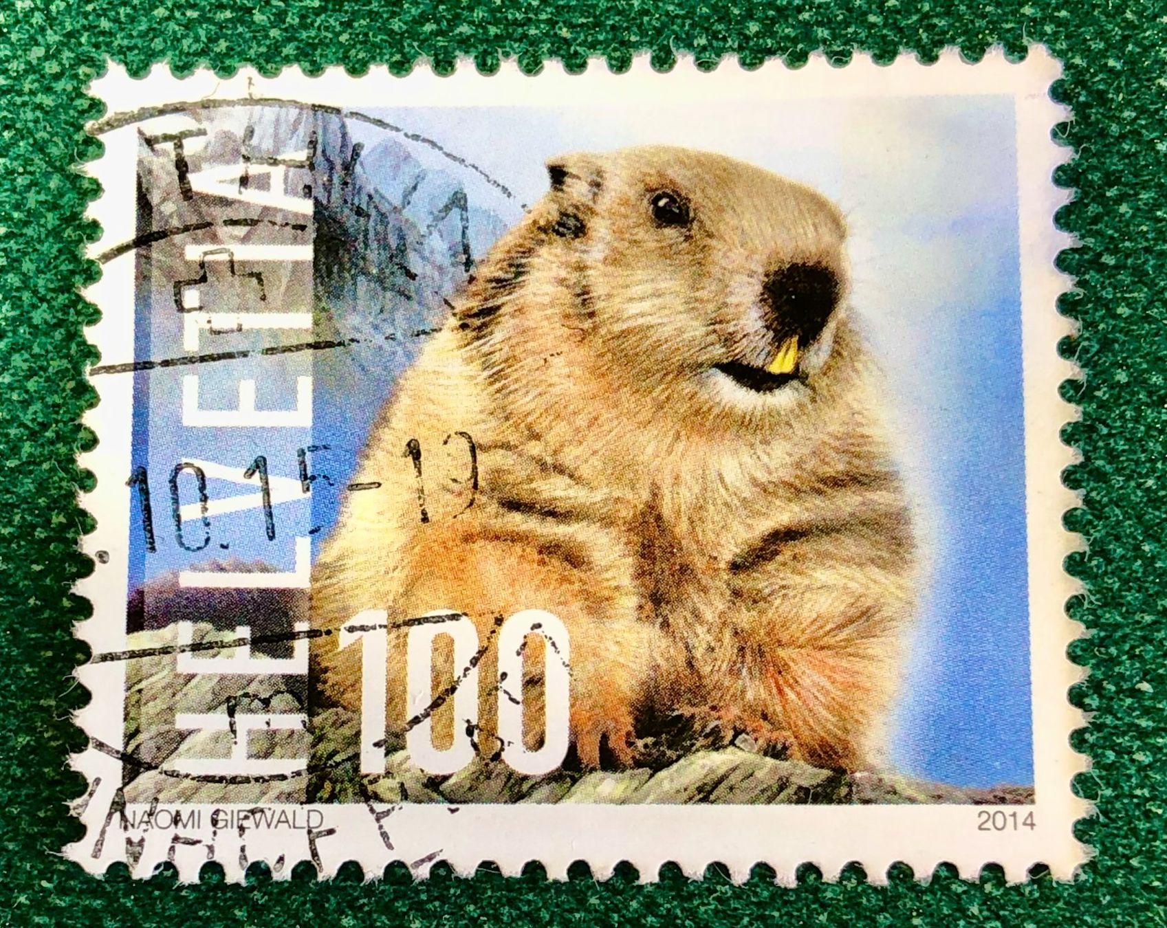 Tutti i francobolli: Nr.1521 mit Stempel  Alpenmurmeltier 2014   – Usato da Aarau venduto da Billa007