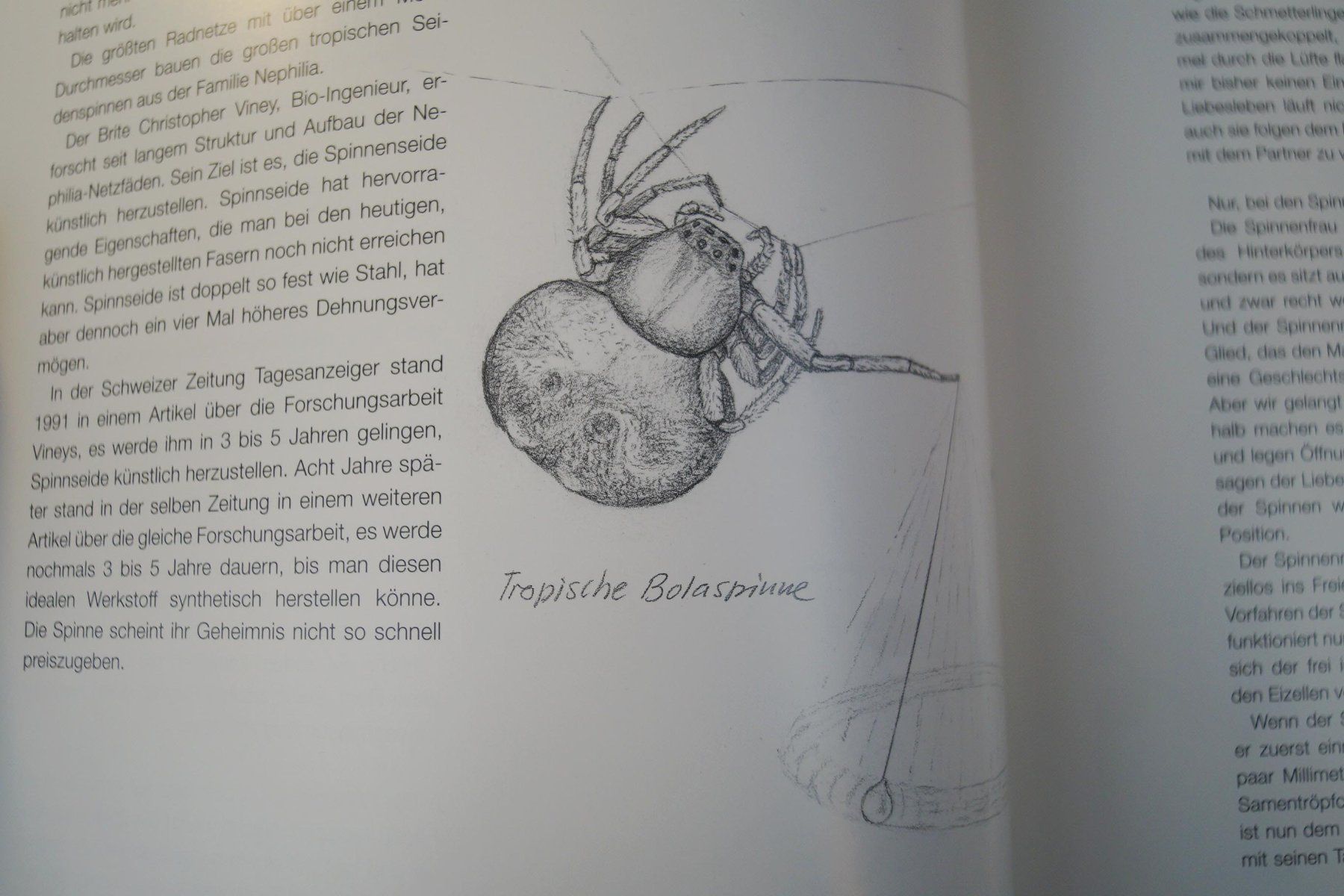 Bücher: Seltenes Spinnenbuch "Begegnungen mit der Spinne" Max Frei – Gebraucht aus Härkingen von sammelbecken 5