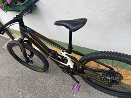 Orbea Wild