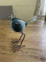 Glasvogel