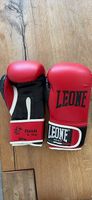 Guantoni boxe