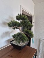 Plastik-Bonsai