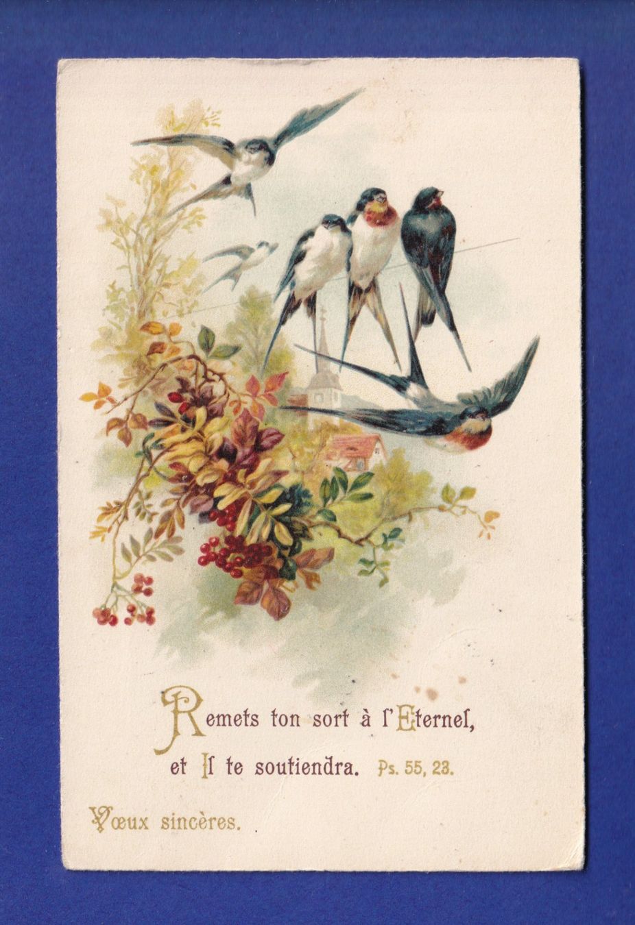 Cartoline postali: OISEAU - Hirondelles - Verset – Usato da Pully venduto da nicecards-shop