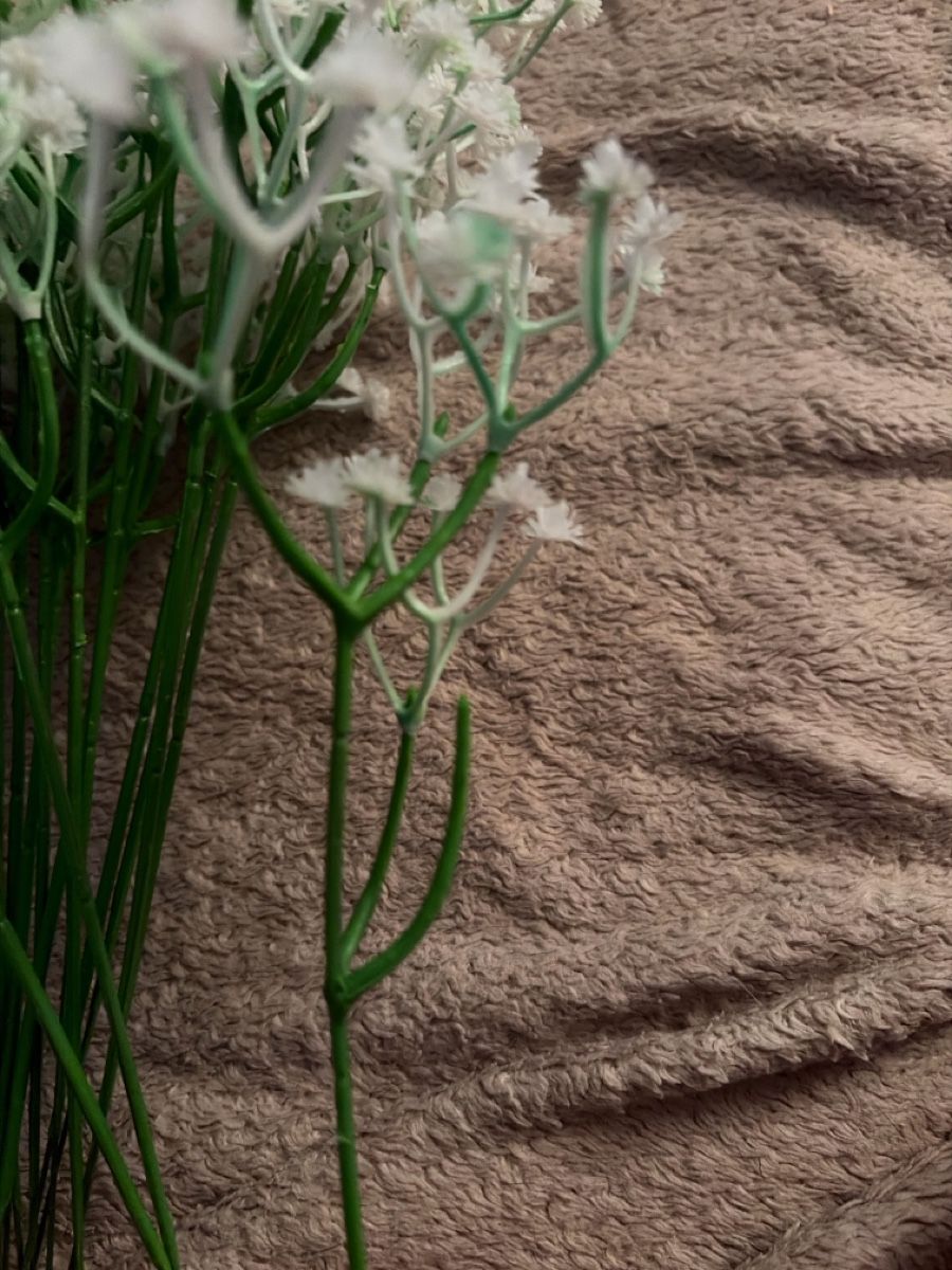 Tutte le decorazioni: 20x künstliches Schleicherkraut – Usato da Urtenen-Schönbühl venduto da LaPriinciipessa 2