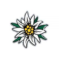 3D Edelweiss Aufkleber Sticker ca. 60mm (Art. 14170) NEU