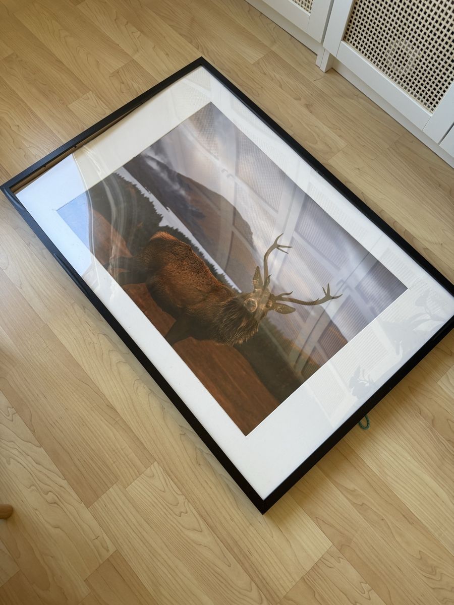 Cornici: Bilderrahmen IKEA RIBBA ohne Poster – Usato da Birmensdorf ZH venduto da mogro7 3